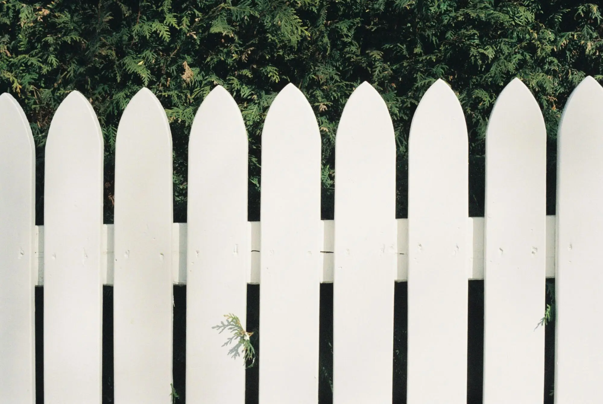 Home Owners Association Property Management: Best Practices for HOA Success